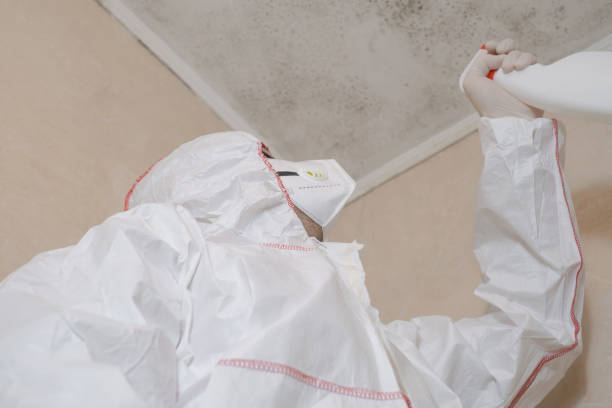 Best Mold Testing  in Maunawili, HI